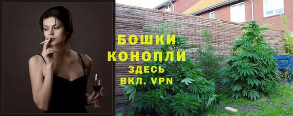 шишки Навашино