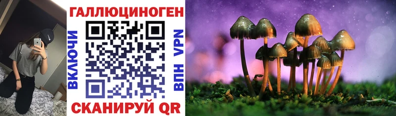 Галлюциногенные грибы Psilocybe  где купить наркоту  Покровск 